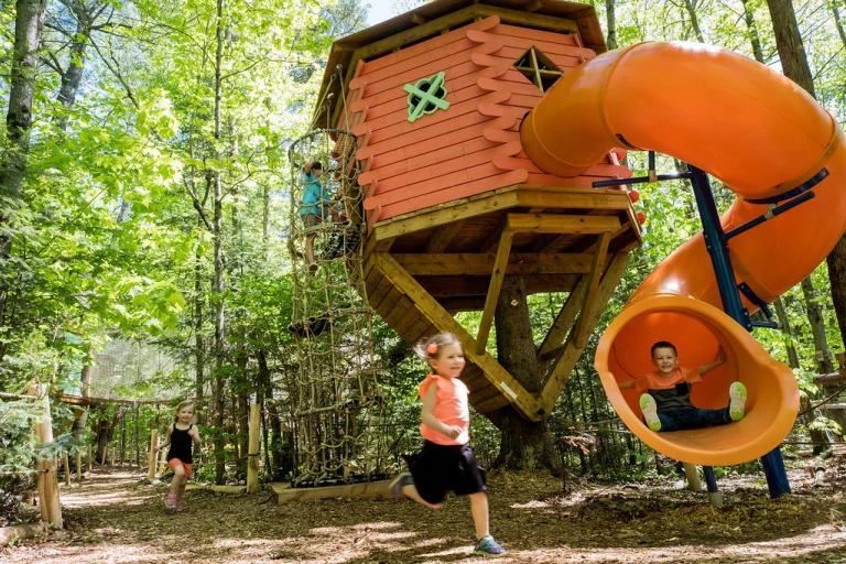 WEB ARBRASKA RAWDON SEL 263