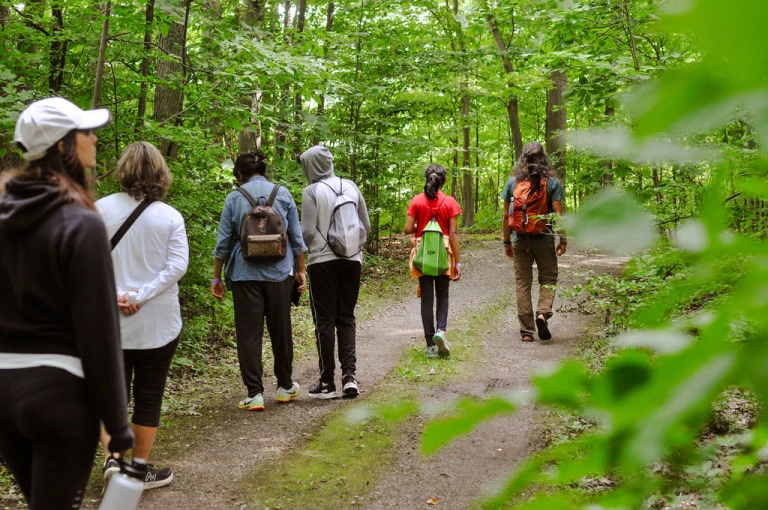 Forest Bathing Treetop Trekking