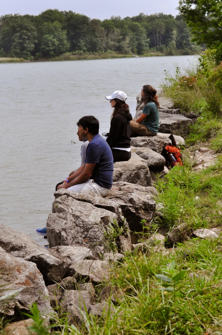 Forest Bathing Lakeside