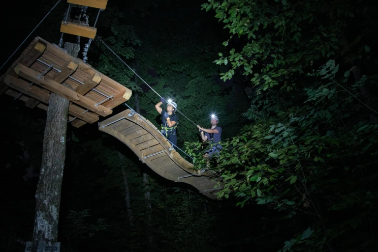 Night Trek Bridge