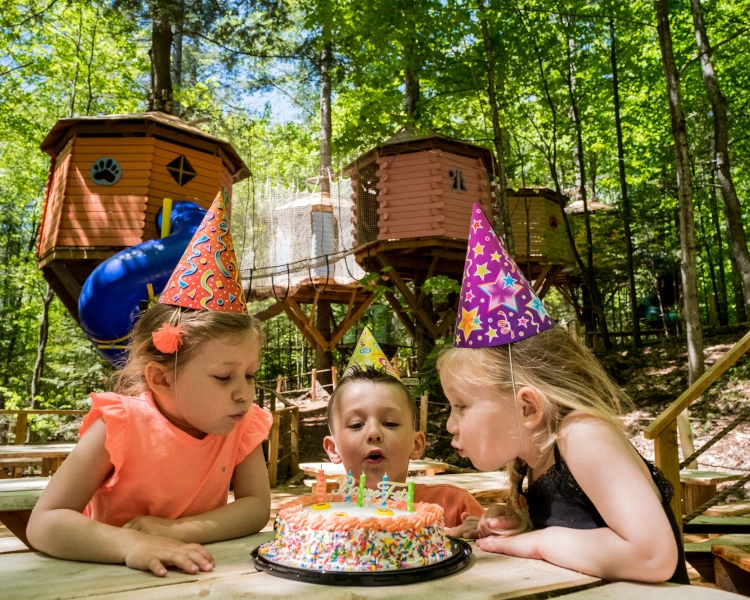 Birthday Parties Arbraska
