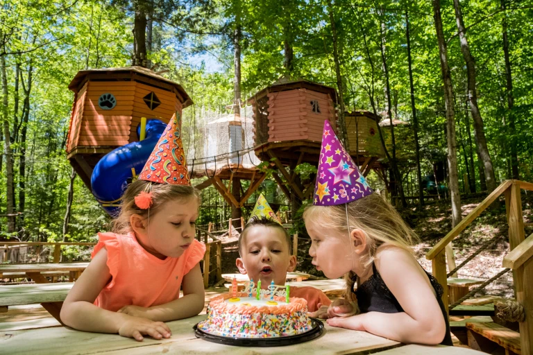 Birthday Parties Treetop Trekking