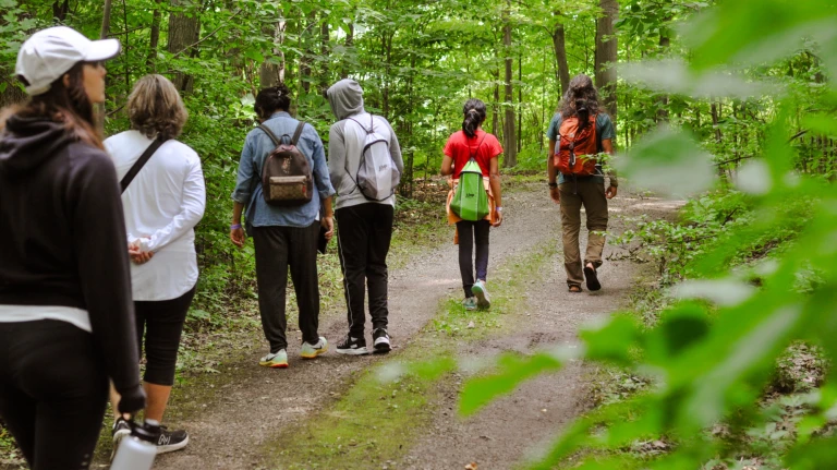 Forest Bathing Treetop Trekking