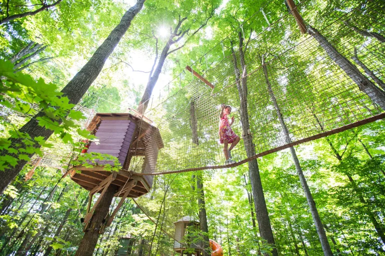 Treewalk Village Bridge