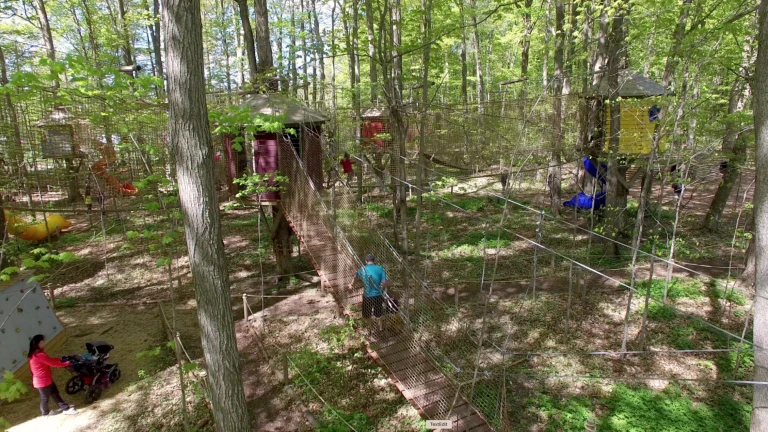 Treewalk Village Stouffville Drone Shot