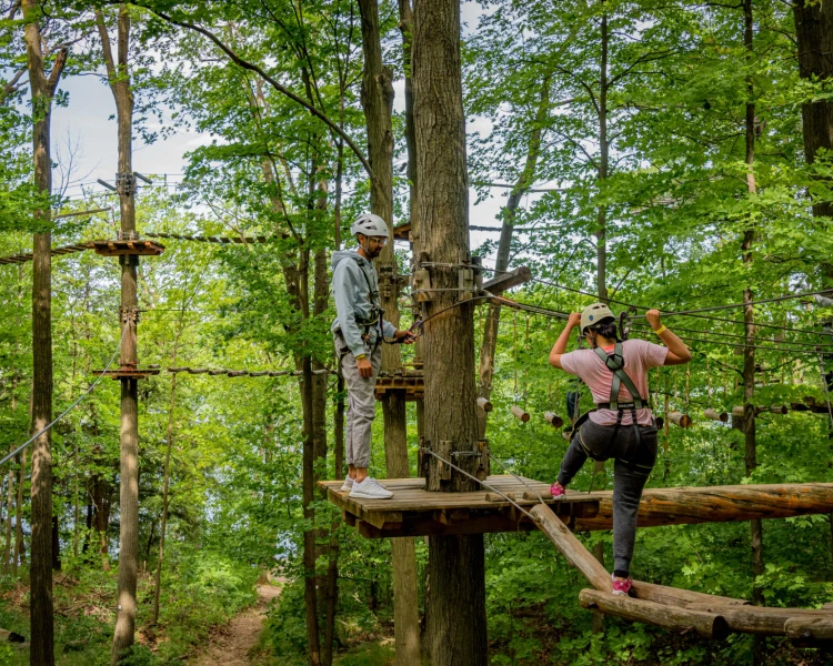 Zipline & Aerial Game Trek Bridges