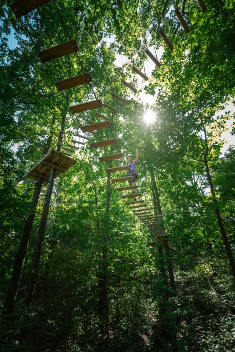 Ground View Zipline & Aerial Course