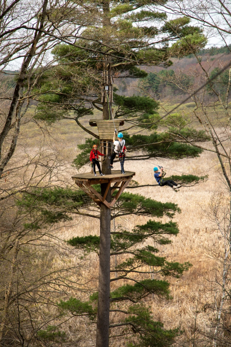 Treetop Trekking Ziptour