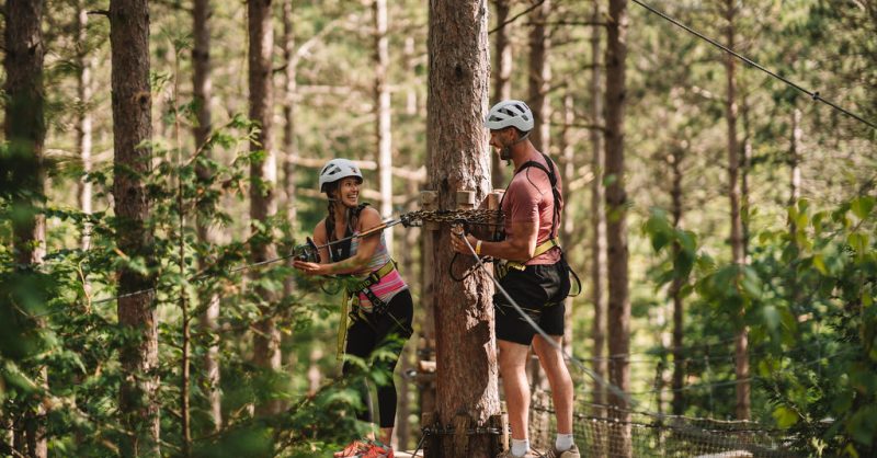 june18treetop-7.jpg?mtime=