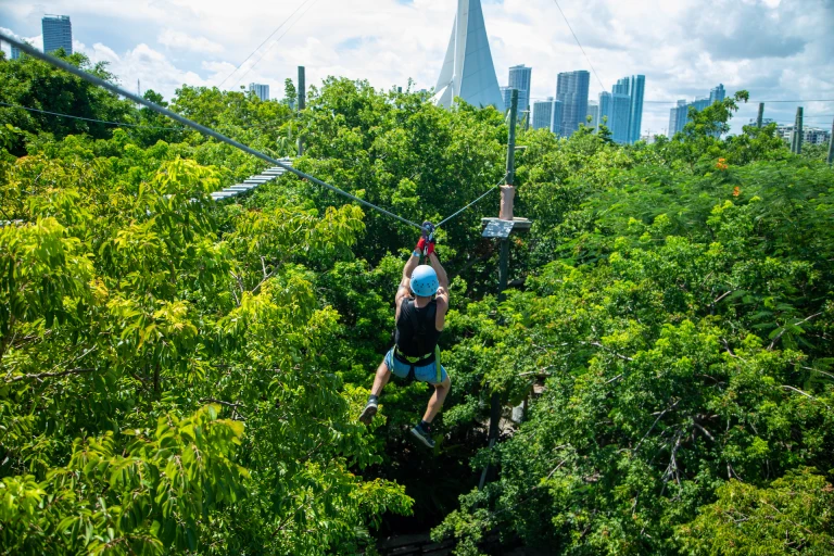 Treetop Trekking Miami