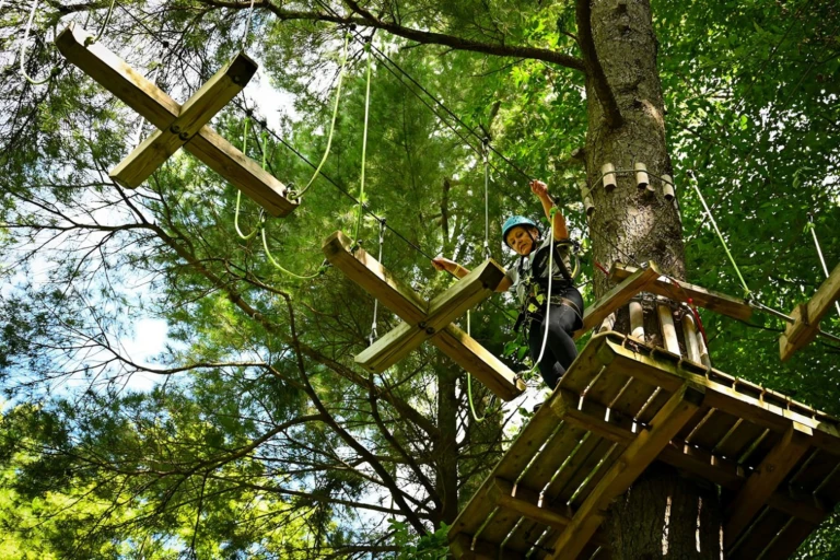 A guest navigating aerial obstacles at Treetop Trekking 1000 Islands, surrounded by towering white pines near the St. Lawrence River