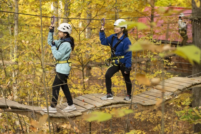 Wavy aerial obstacle on the ropes course at Treetop Trekking Barrie, celebrating 20 years of forest adventures