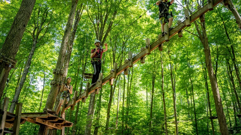 Barrie Treetop Trekking