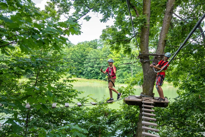 Aerial obstacle on the ropes course at Treetop Trekking Hamilton, Ontario