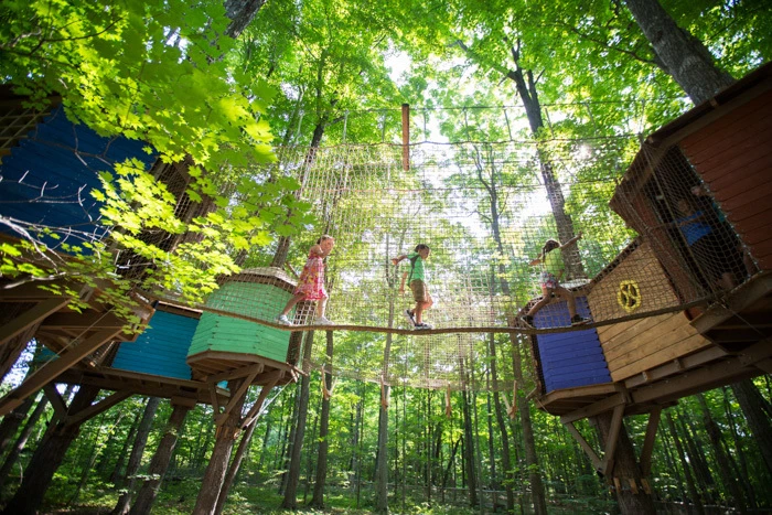 Stouffville park treewalk village thumbnail