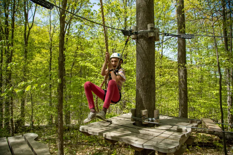 Discovery Course Treetop Trekking