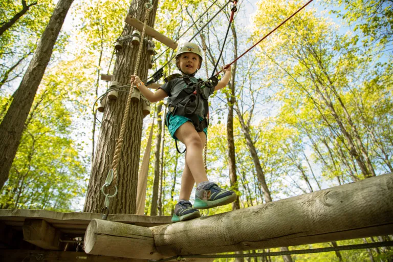 Kid's Course Treetop Trekking