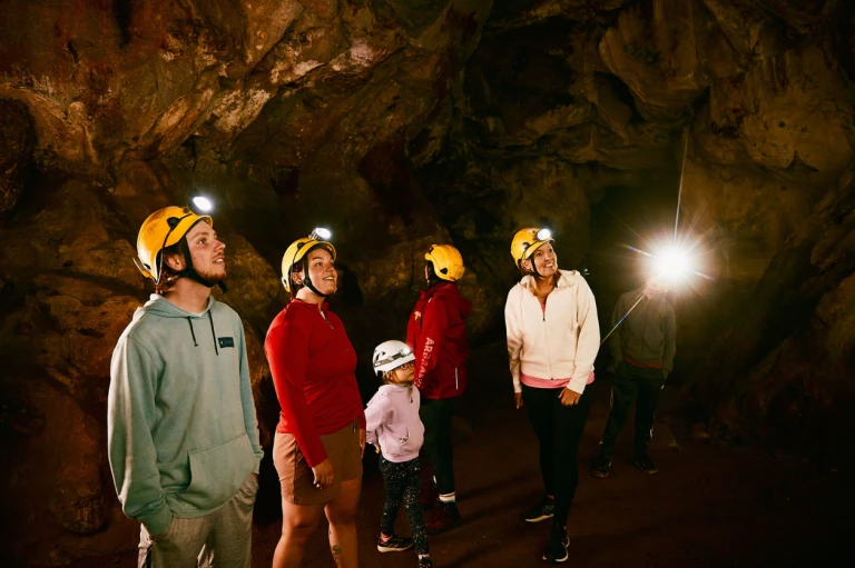 Screenshot 2026 04 23 111222