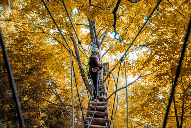 Fall 66765ca24b546ddcf1f91385055902bd xxlarge3