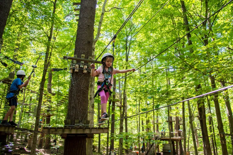 Discovery 1000 ISL 10