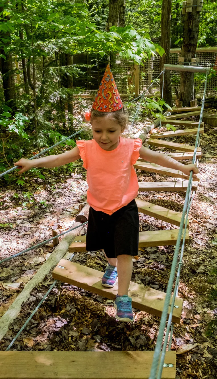 Birthday Parties Treetop Trekking