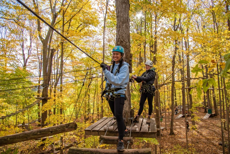 Treetop Fall Colours 47
