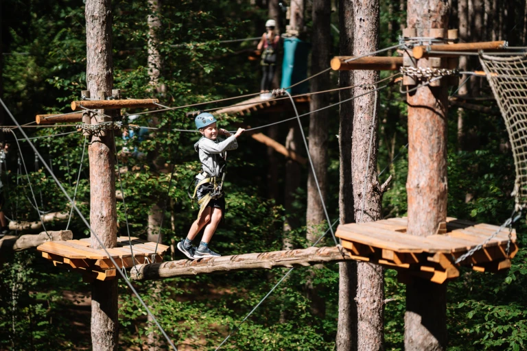 July30treetop 45