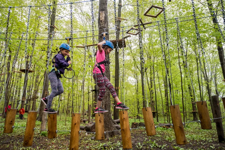 WEB TREETOP STOUFVILLE SEL 157 2