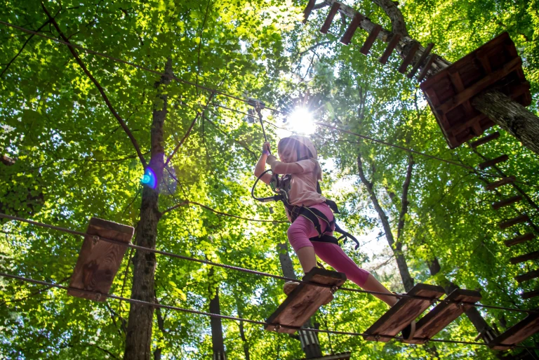 Discovery 1000 ISL 8