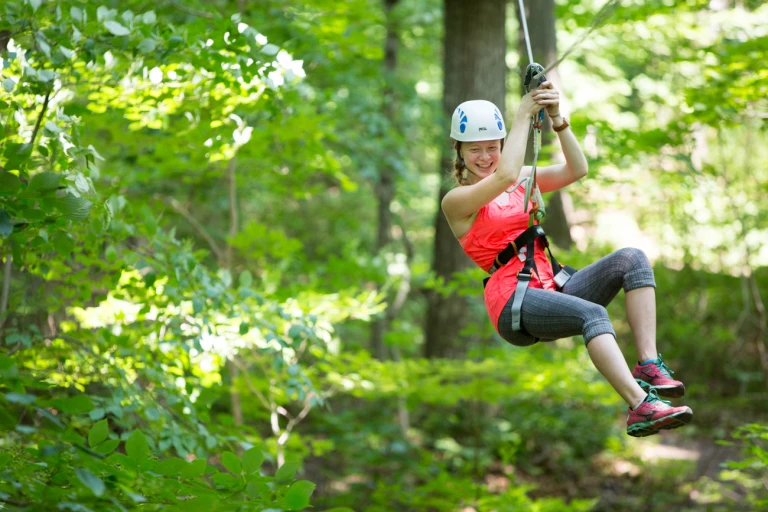 WEB TREETOP STOUFFVILLE 0329