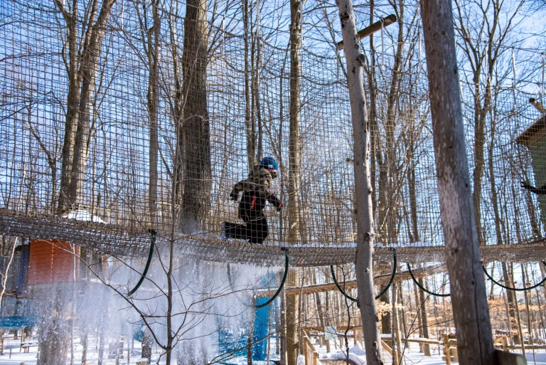 Treewalk Winter2022 6